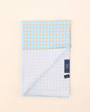 Light Blue Scarf